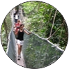 knp phs