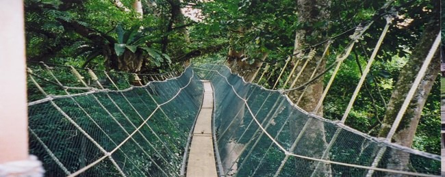 kinabalu national park banner